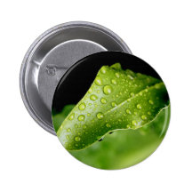 Rain drop leaf pins