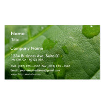 Rain Drops In Montana Business Card