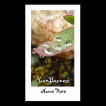 Rain Drops on Leaf business cards