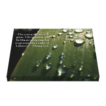 Rain Drops on Leaf Scripture Stretched Canvas Prints