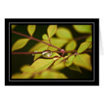 Rain Drops On Leaves Card