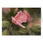 Rain Drops on Roses Greeting Cards