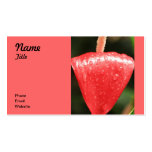 Rain Flower- Salmon Business Cards