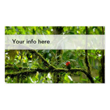 Rain Forest Business Card