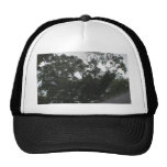Rain Rain Go Away Mesh Hat