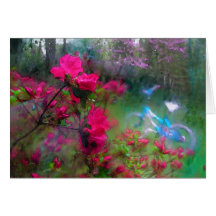 rain today    card