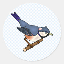 Raina Robin Round Stickers