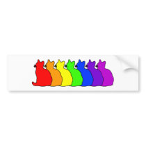 Rainbow American Shorthair