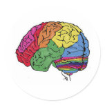 Rainbow Brain
