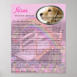 Rainbow Bridge Pet Memorial - Pink Poster