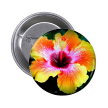 Rainbow Brite Button