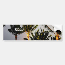 Rainbow Bumper Sticker