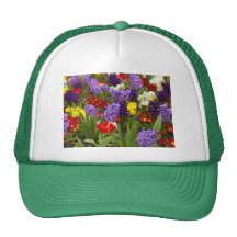 Rainbow Collection Mesh Hat