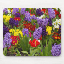 Rainbow Collection Mouse Pad
