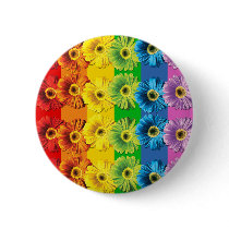 Rainbow Daisies