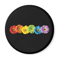 Rainbow Daisies