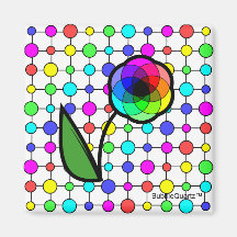 Rainbow daisy square magnet