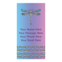 Rainbow Dragonfly