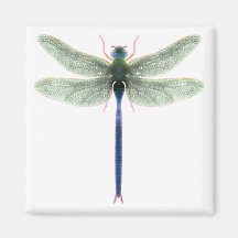 Rainbow Dragonfly Square Magnet