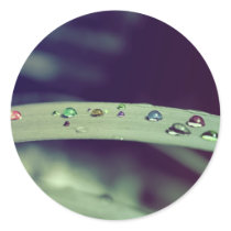 Rainbow Drops Stickers