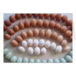 Rainbow Eggs for Rare Breed Hens Card