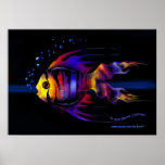 Rainbow Fish Poster posters