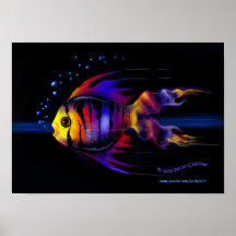 Rainbow Fish Poster