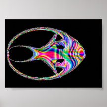 Rainbow Fish Poster