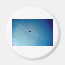 Rainbow Flight Fridge Magnet