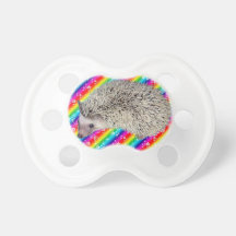 Rainbow Hedgehog Pacifier