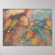 Rainbow honeysuckle flowers posters