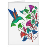 Rainbow Hummingbird