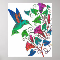Rainbow Hummingbird