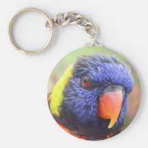 Rainbow Lorikeet Headshot Keychain