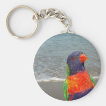 Rainbow Lorikeet ~ Keychain