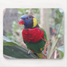 Rainbow Lorikeet Mouse Pad