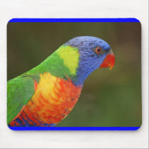 Rainbow Lorikeet mousepads