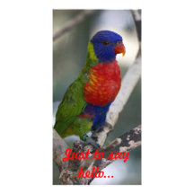 Rainbow Lorikeet Photo Card