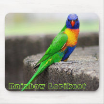 Rainbow Lorikeet, Rainbow Lorikeet Mouse Pads