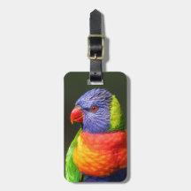 Rainbow Lorikeet Tag For Luggage