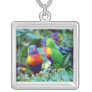 Rainbow Lorikeets
