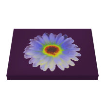 Rainbow Marigold Canvas Print