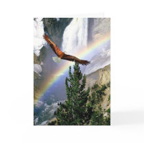 Rainbow Mountain Bald Eagle in Flight Card