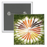Rainbow Multicolored Carrots Pinback Buttons