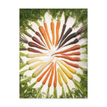 Rainbow Multicolored Carrots