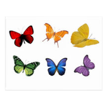 Rainbow of Butterflies Post Cards