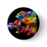 Rainbow of Parrotfish