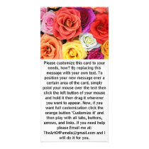 Rainbow of Roses photo cards