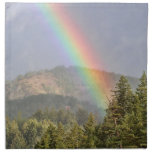 Rainbow Over the Mountains Printed Napkin