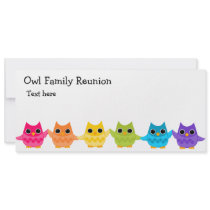 Rainbow Owls